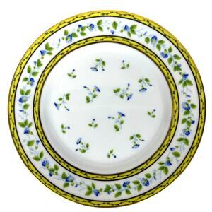 Raynaud Ceralene Limoges Morning Glory Spray 7.5" Salad Plate(s)-France-Mint!